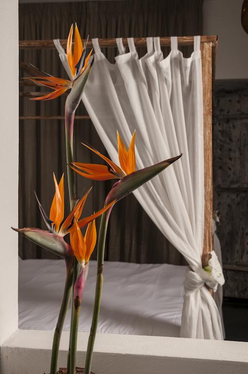 Bed and Breakfast Seven Maze Charming House Бари Номер фото
